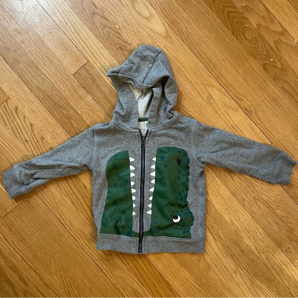[3 for $15] CARTER’S Gray Hoodie with Dinosaur Graphic